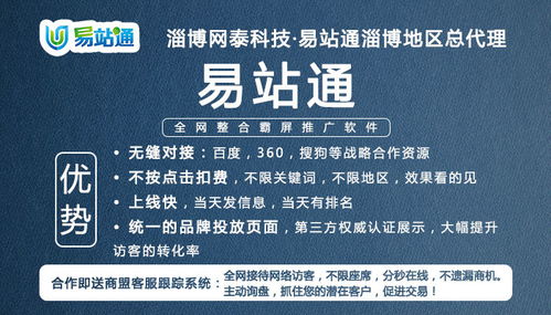 淄川網(wǎng)絡(luò)營銷服務(wù)——淄博網(wǎng)泰科技，助力企業(yè)高效推廣