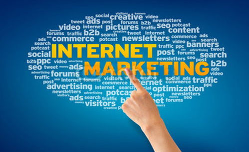 網(wǎng)絡(luò)營(yíng)銷技巧與品牌推廣之道 策略、技術(shù)與實(shí)踐